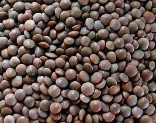 Black Daal Masoor Sabit