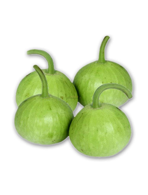 Loki(Bottle Gourd) Round