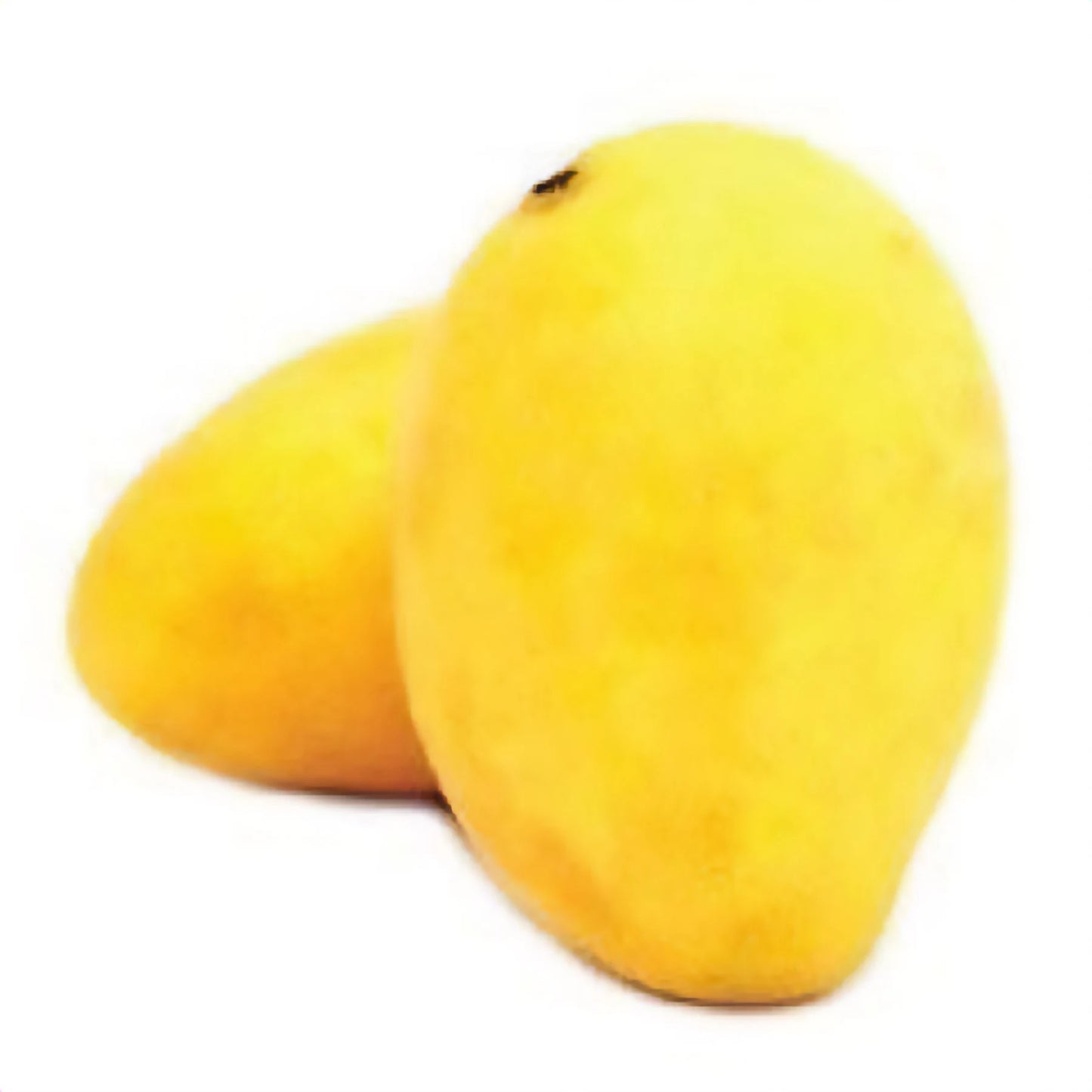 Mango White Chaunsa