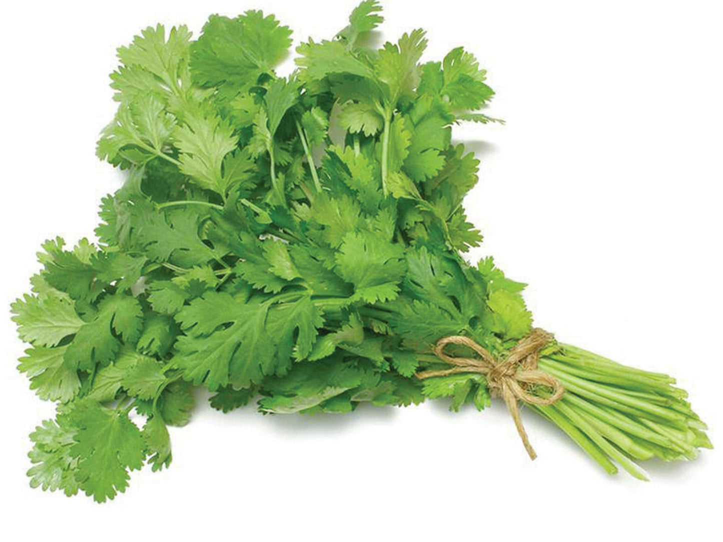 Dhania(Coriander Leaves)