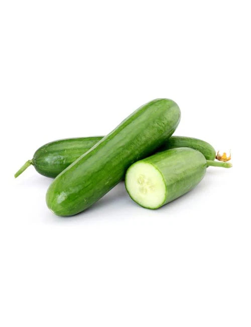 Kheera(Cucumber Regular)