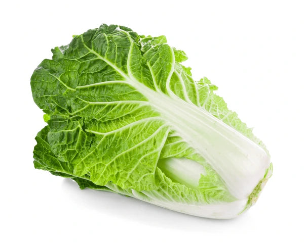 Chinese Cabbage