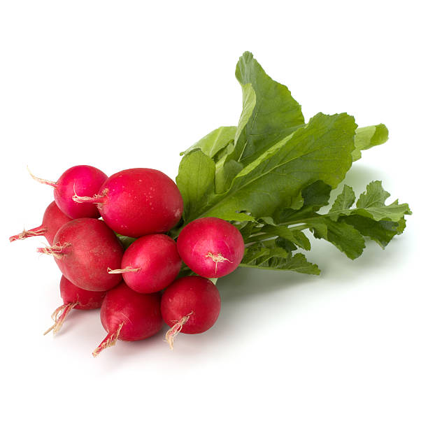 Lal Mooli (Red Radish)